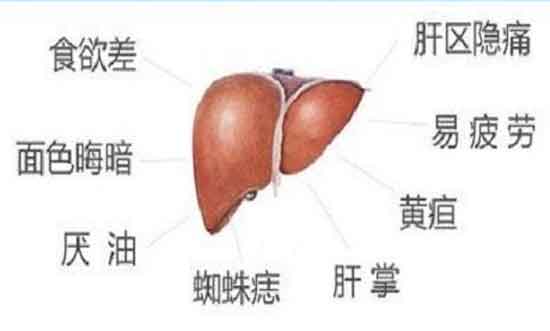 郑州哪家医院治疗肝病好